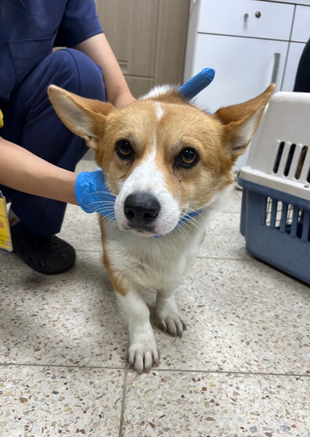 반려동물보호센터_443571202403041