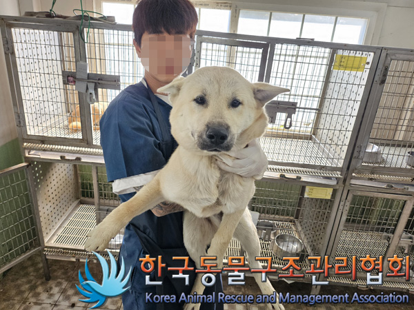 한국동물구조관리협회_441406202401832