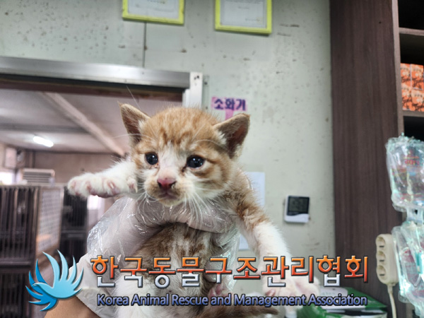 한국동물구조관리협회_411318202400426