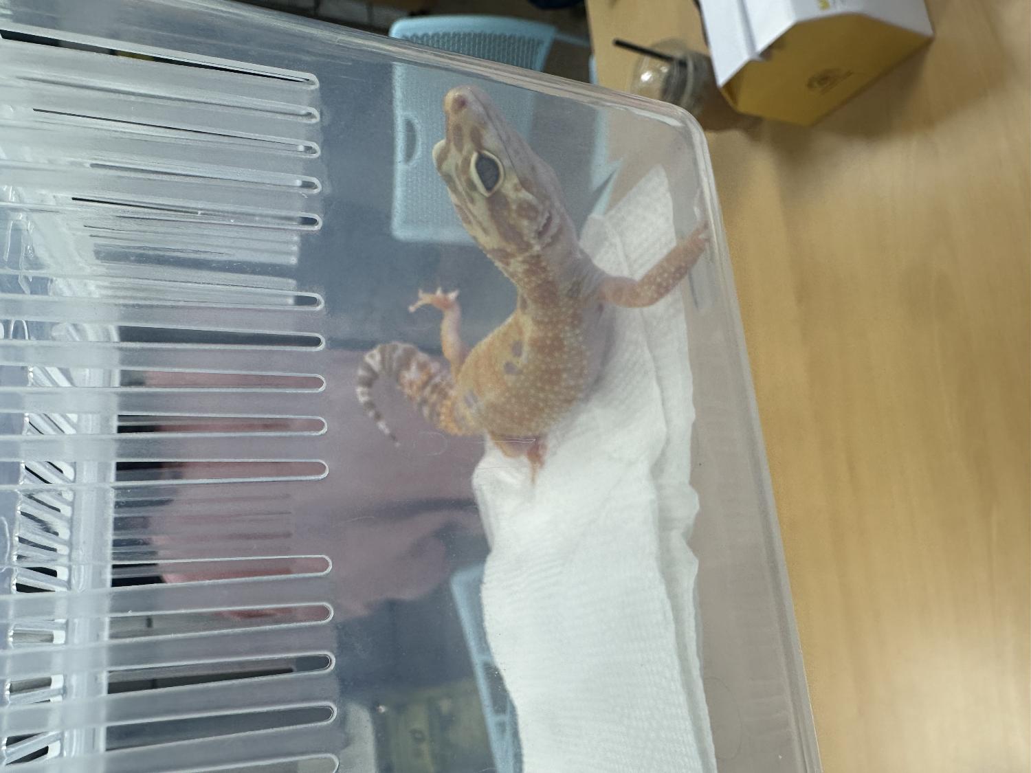 반려동물보호센터_443571202403045