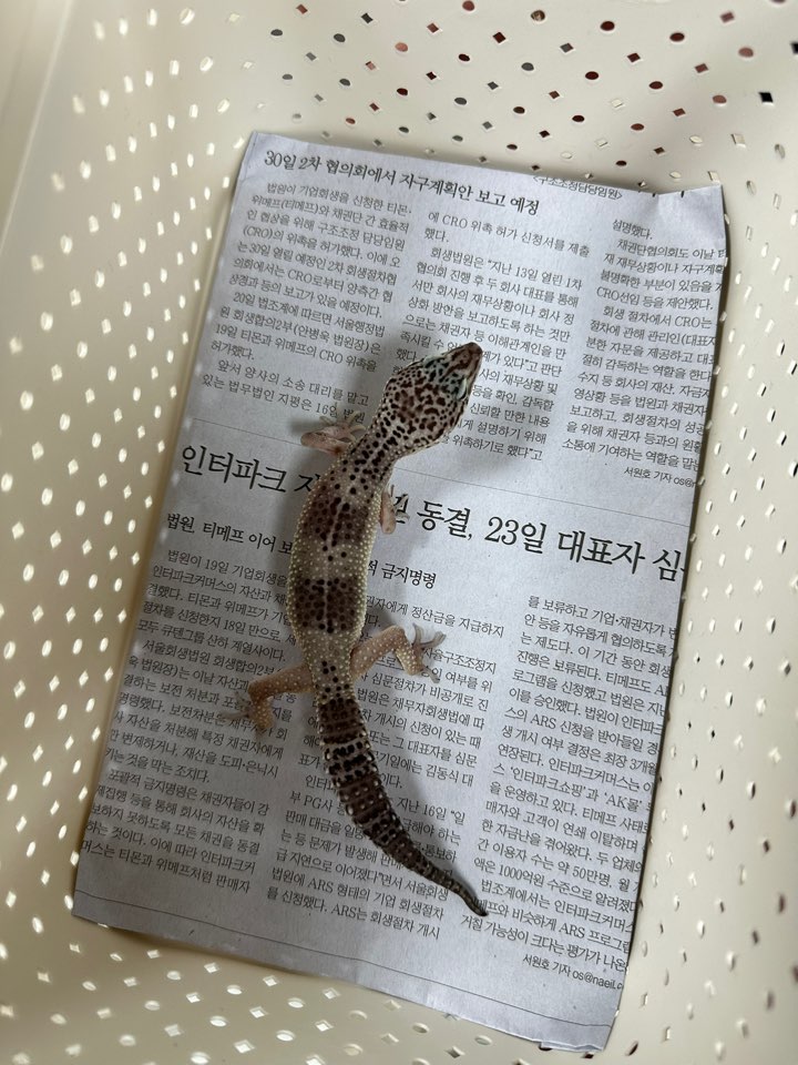 반려동물보호센터_443571202403050