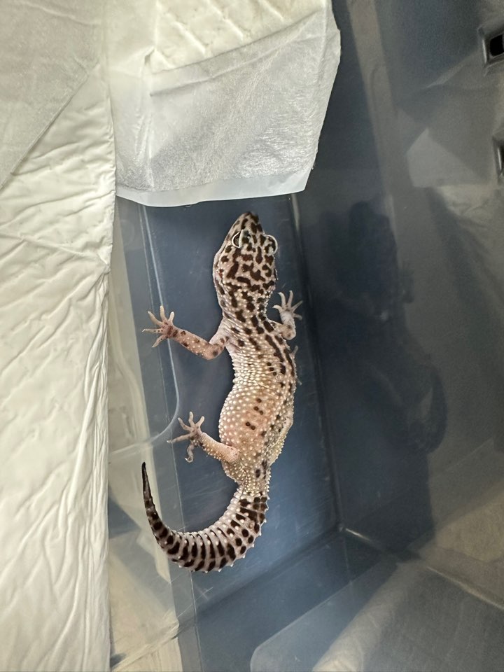 반려동물보호센터_443571202403072