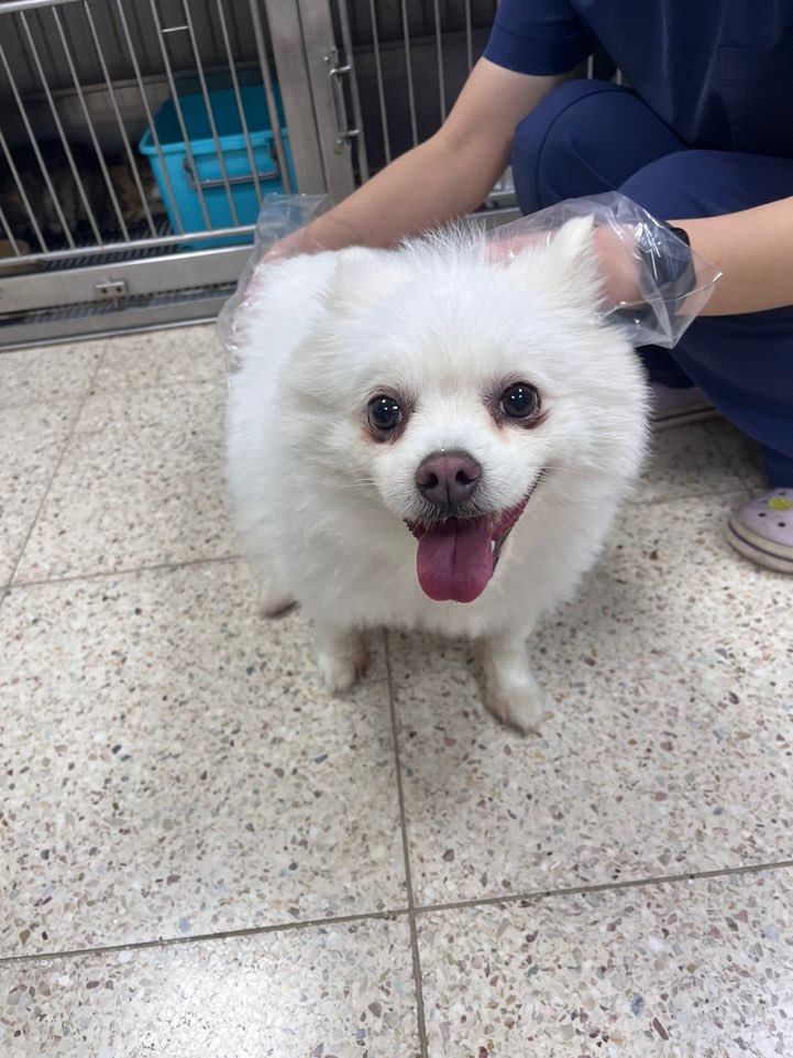 반려동물보호센터_443571202403076