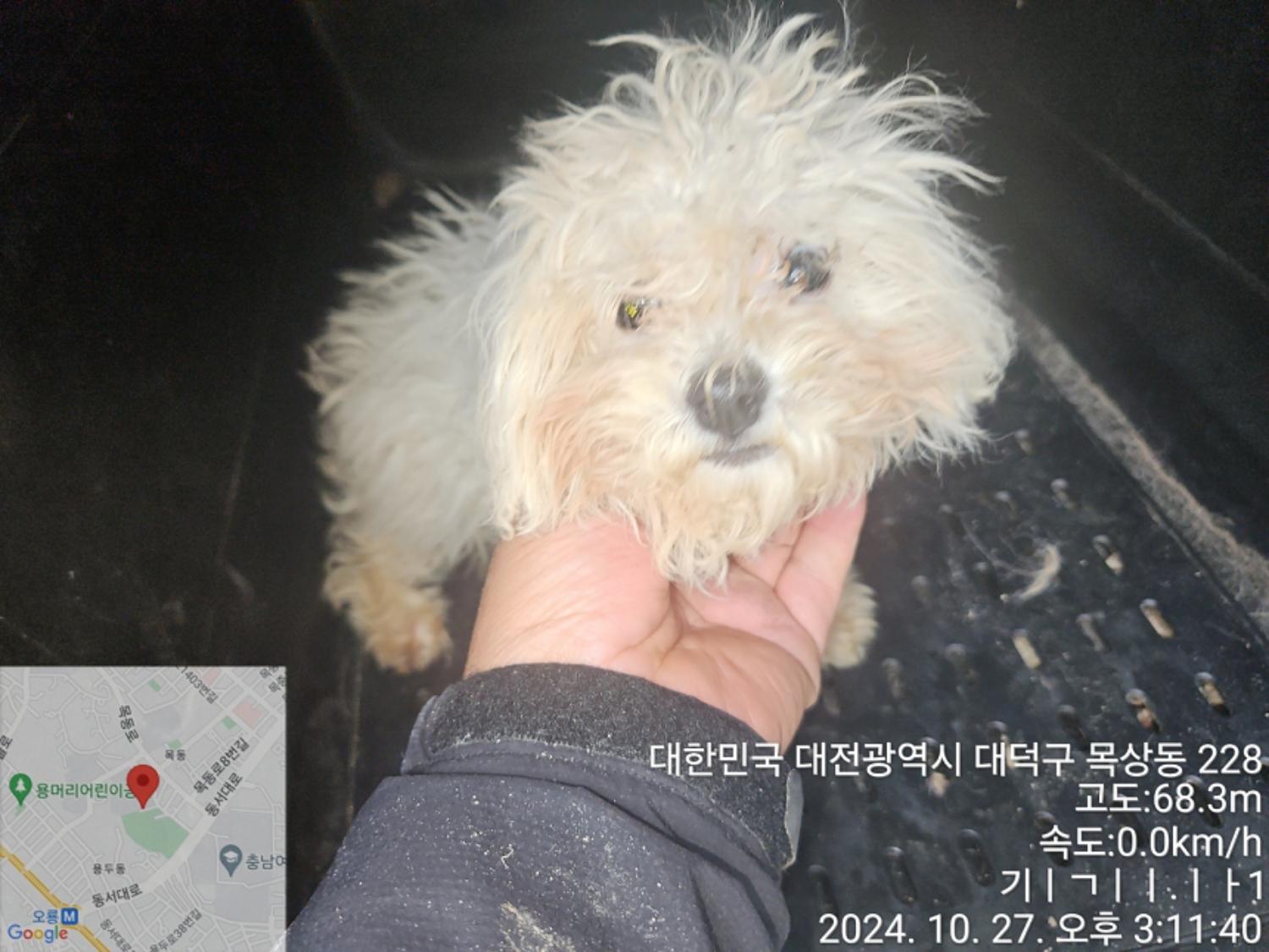 대전동물보호센터_430368202400486