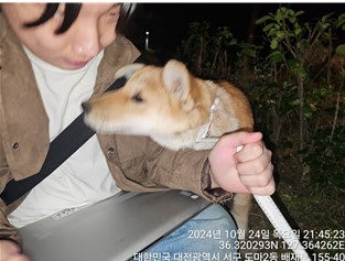 대전동물보호센터_430366202400574