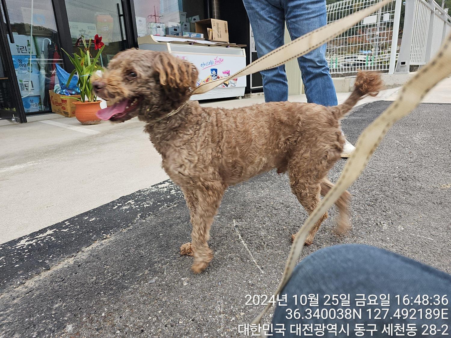 대전동물보호센터_430364202400779