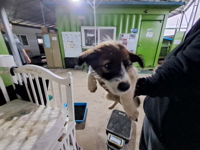 진주시동물보호센터_448531202402423