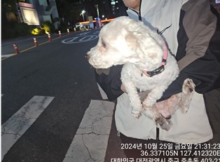 대전동물보호센터_430366202400577