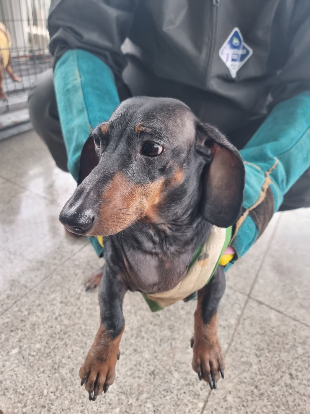 구미시 동물보호센터_447508202401141
