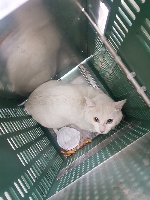 조재진동물병원_428354202401341