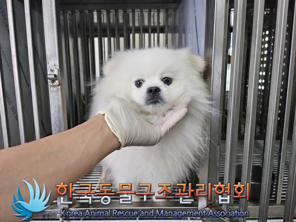 한국동물구조관리협회_411303202400500