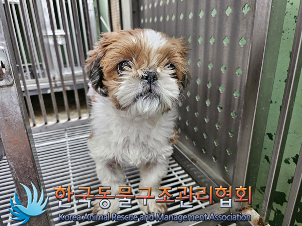 한국동물구조관리협회_411311202400902