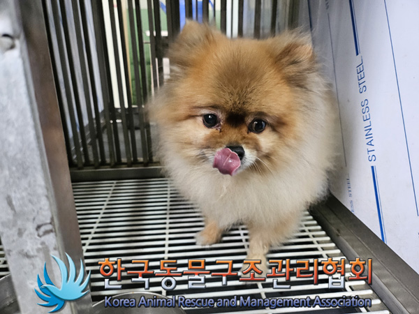 한국동물구조관리협회_411322202400754