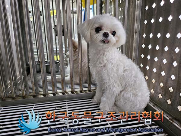 한국동물구조관리협회_441409202401664