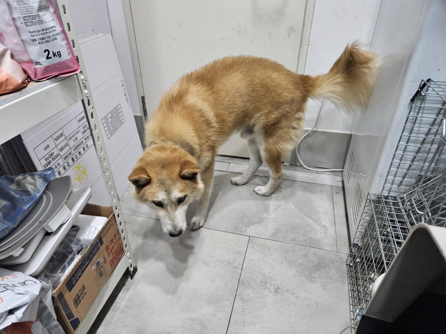 동행동물병원_427348202401195