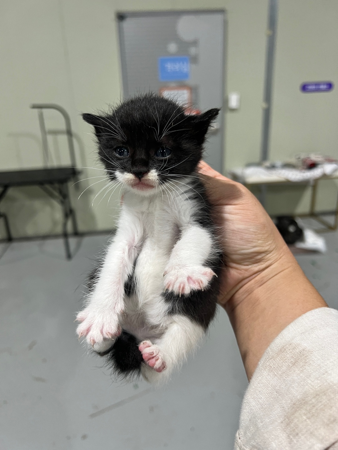 부산동물보호센터_426326202400650