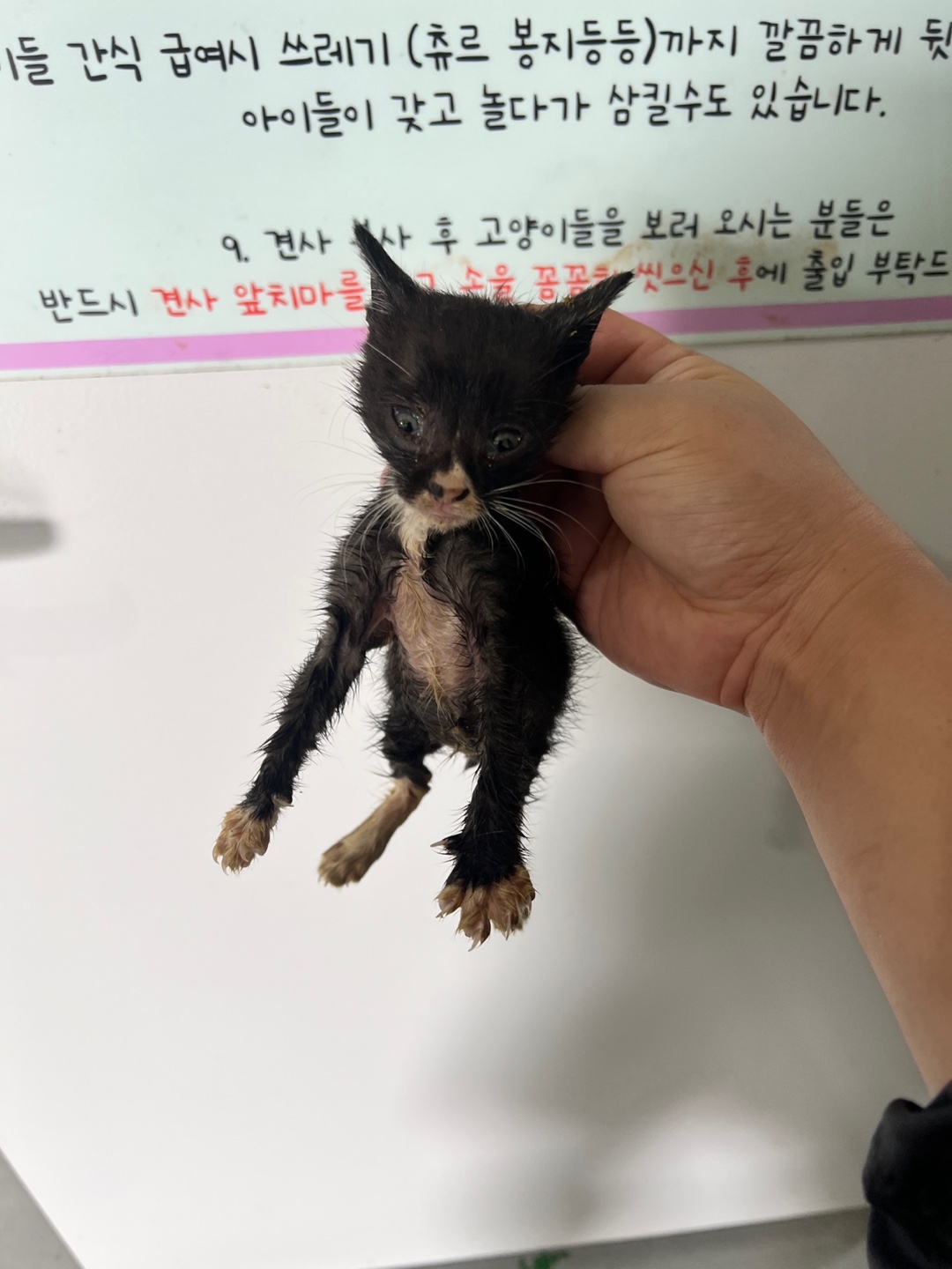 부산동물보호센터_426326202400648