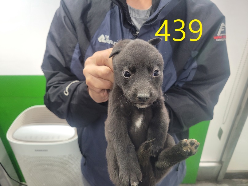 신영재동물병원_428355202400775