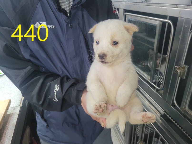 신영재동물병원_428355202400776