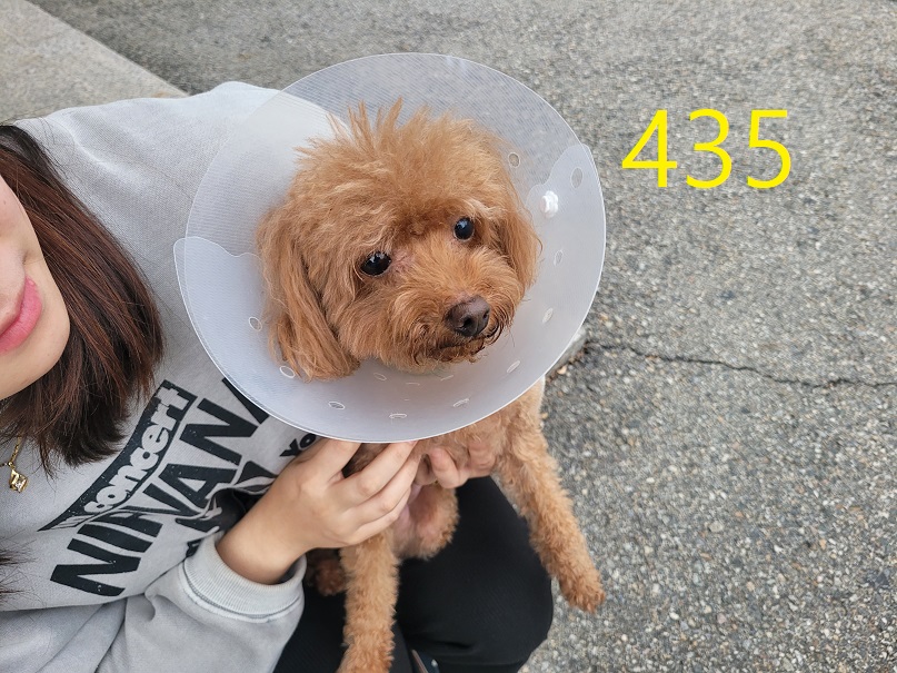 신영재동물병원_428355202400771