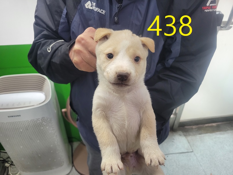 신영재동물병원_428355202400774