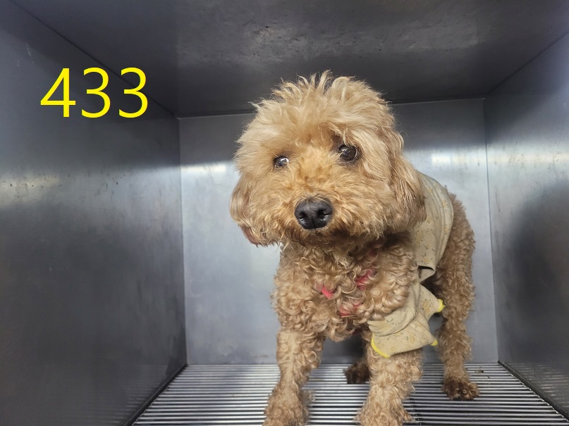 신영재동물병원_428355202400769