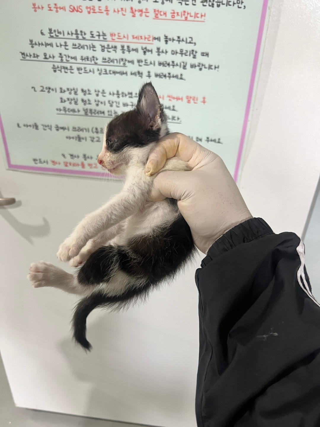 부산동물보호센터_426325202400456