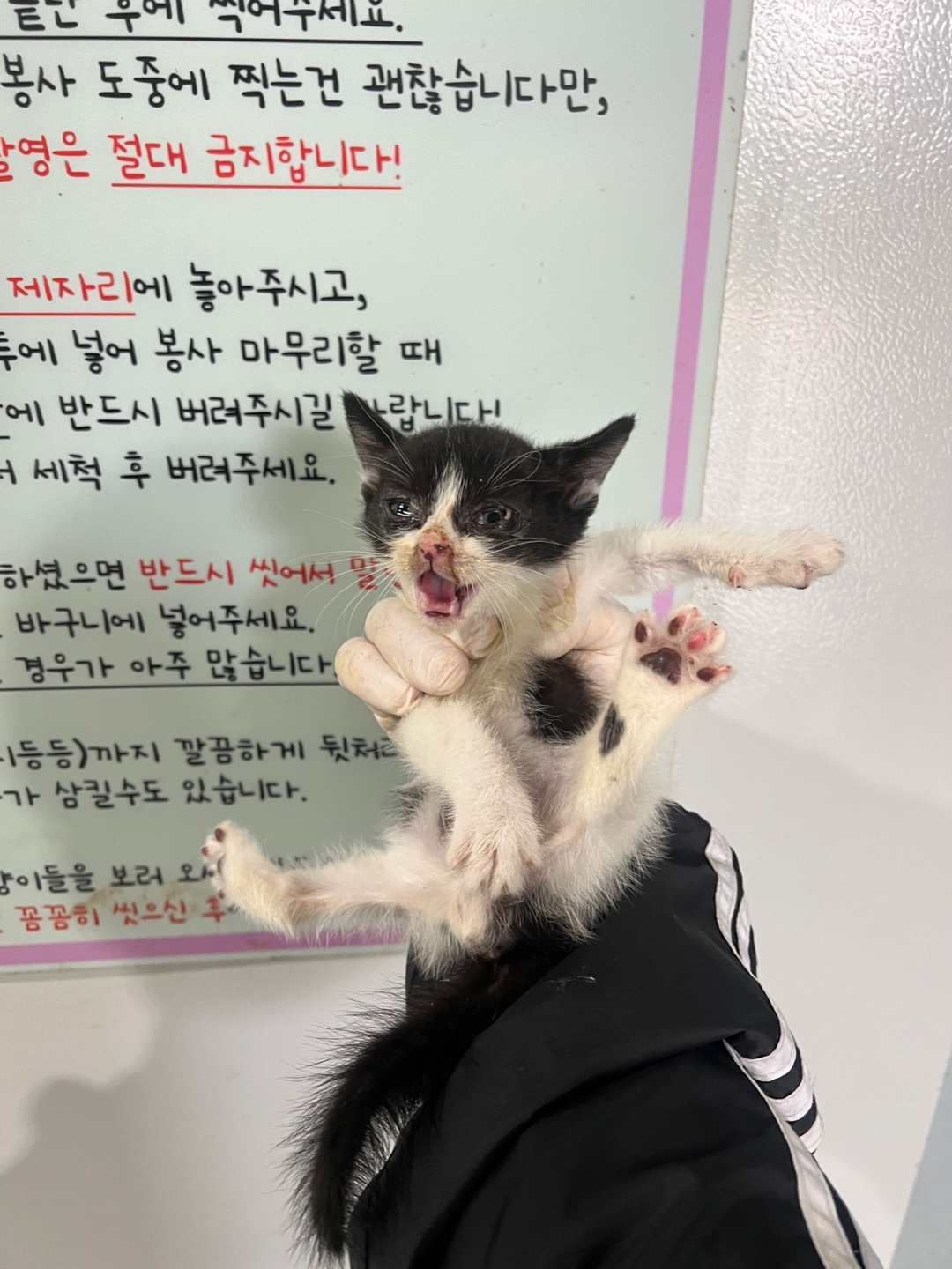 부산동물보호센터_426325202400455