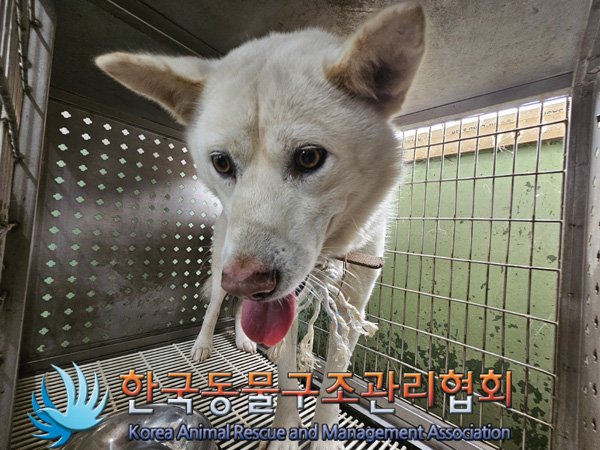 한국동물구조관리협회_441404202400549