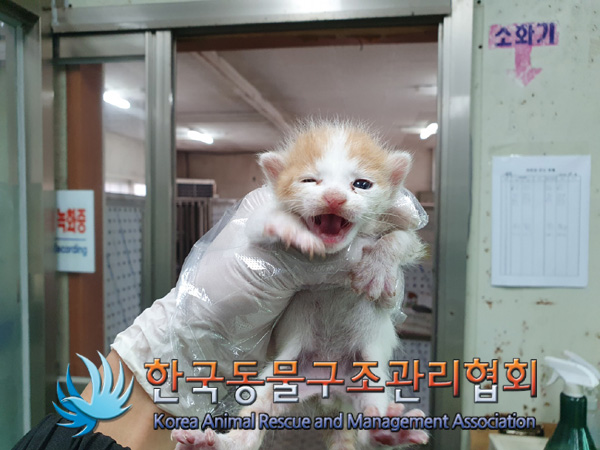 한국동물구조관리협회_411303202400503