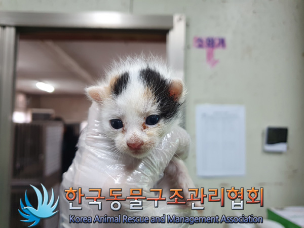 한국동물구조관리협회_411303202400505