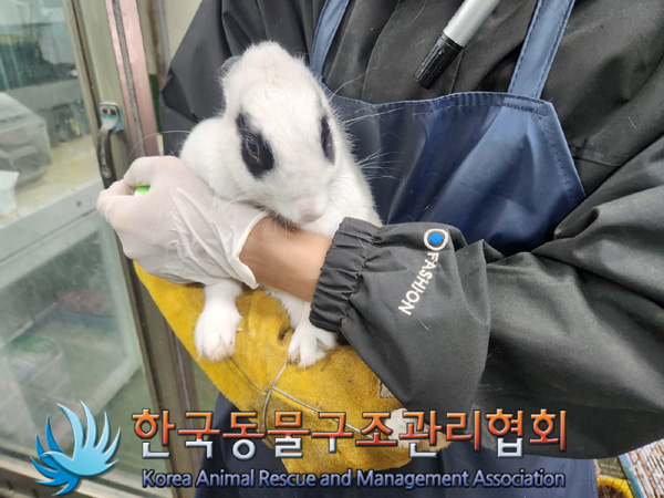 한국동물구조관리협회_411301202400366