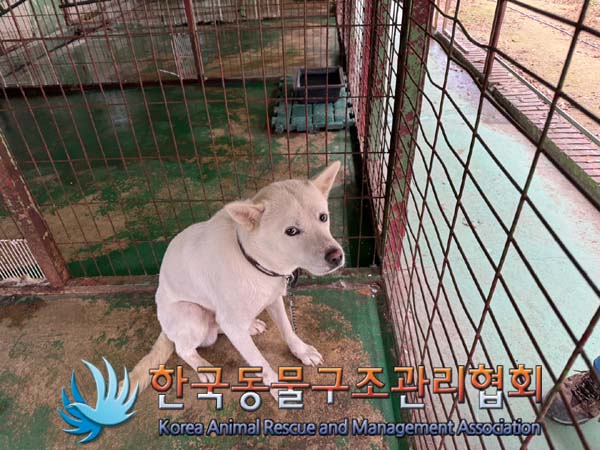 한국동물구조관리협회_441406202401846