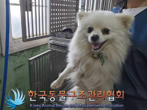 한국동물구조관리협회_441406202401849