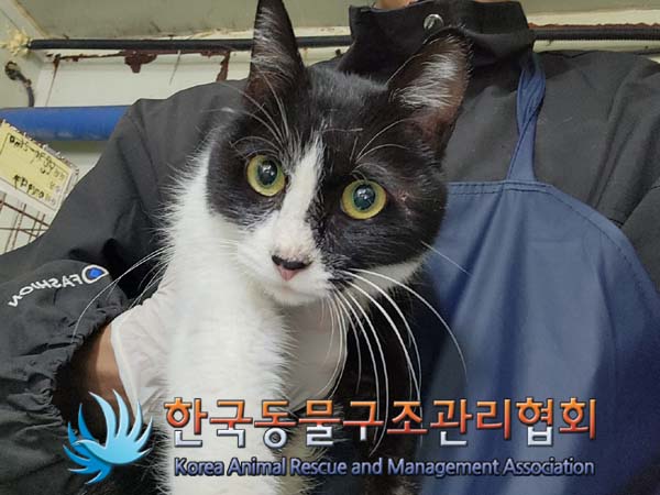 한국동물구조관리협회_441560202401328