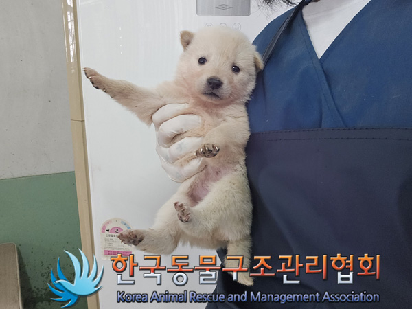 한국동물구조관리협회_441409202401667