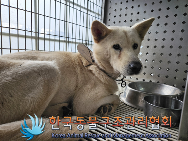 한국동물구조관리협회_441560202401329