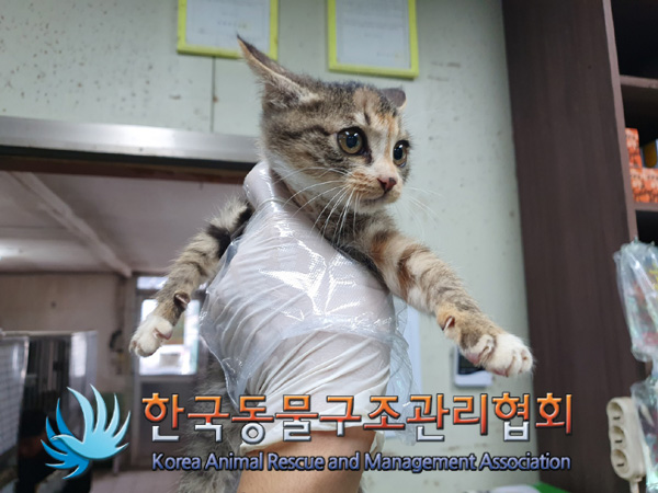한국동물구조관리협회_441406202401847