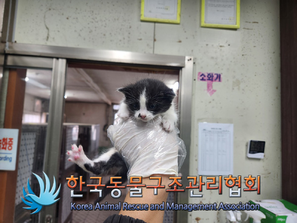 한국동물구조관리협회_411304202400585