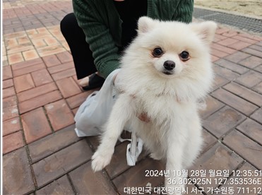 대전동물보호센터_430366202400580