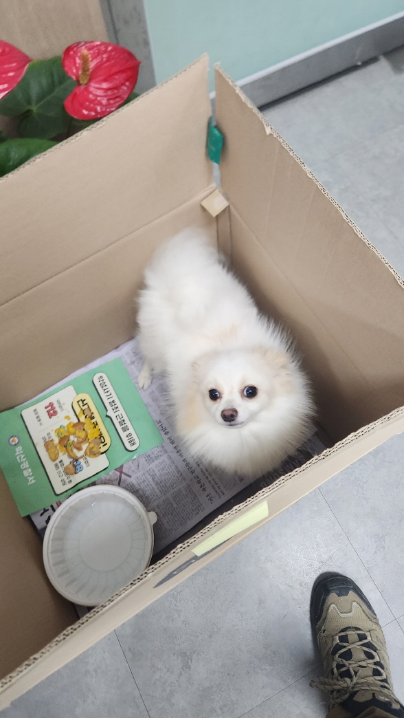 익산유기동물보호소_445468202402904