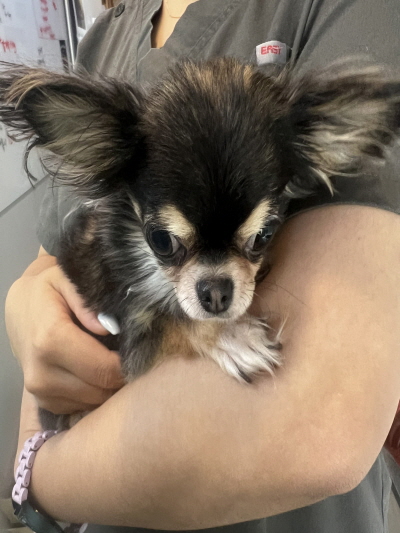 사단법인 동부_426340202400500