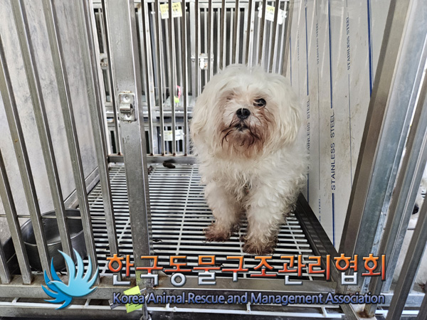 한국동물구조관리협회_411311202400904