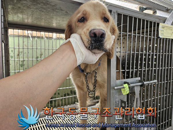 한국동물구조관리협회_441414202400814