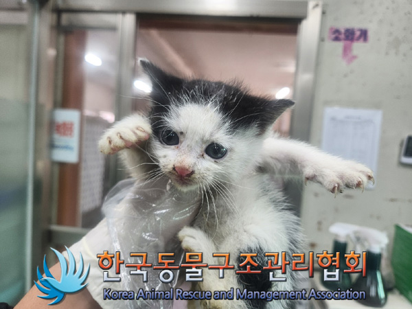 한국동물구조관리협회_411315202400568