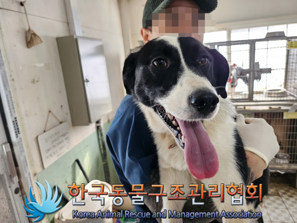 한국동물구조관리협회_441406202401863