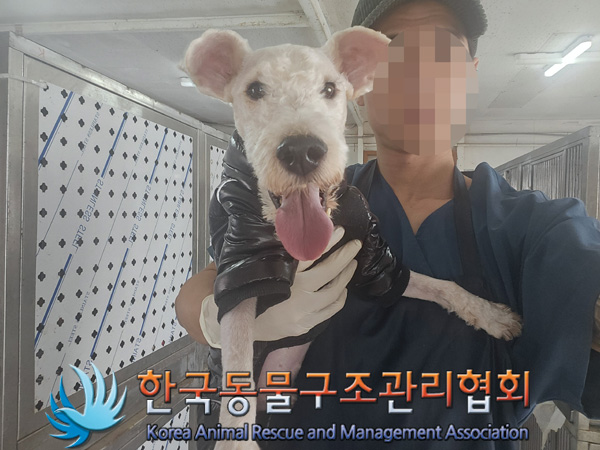 한국동물구조관리협회_411309202400354