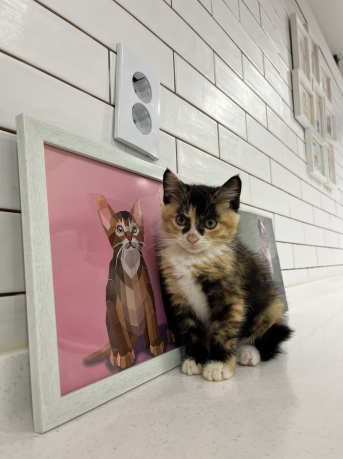 구리반려동물문화센터_441398202400503