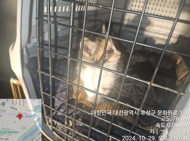 대전동물보호센터_430367202400795