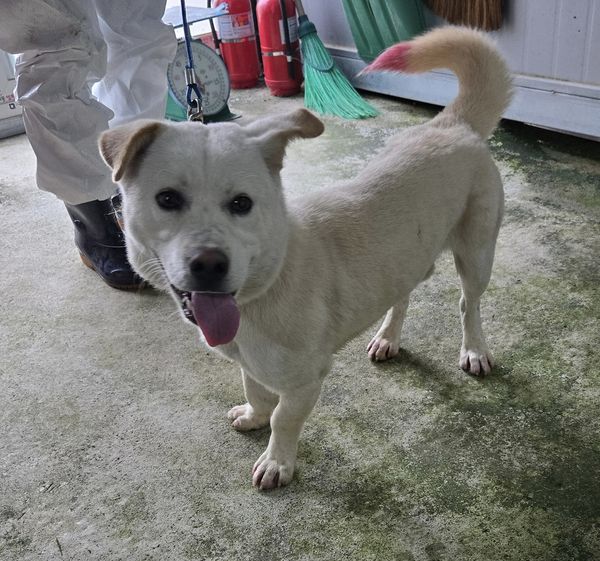 화천군농업기술센터_442431202400194